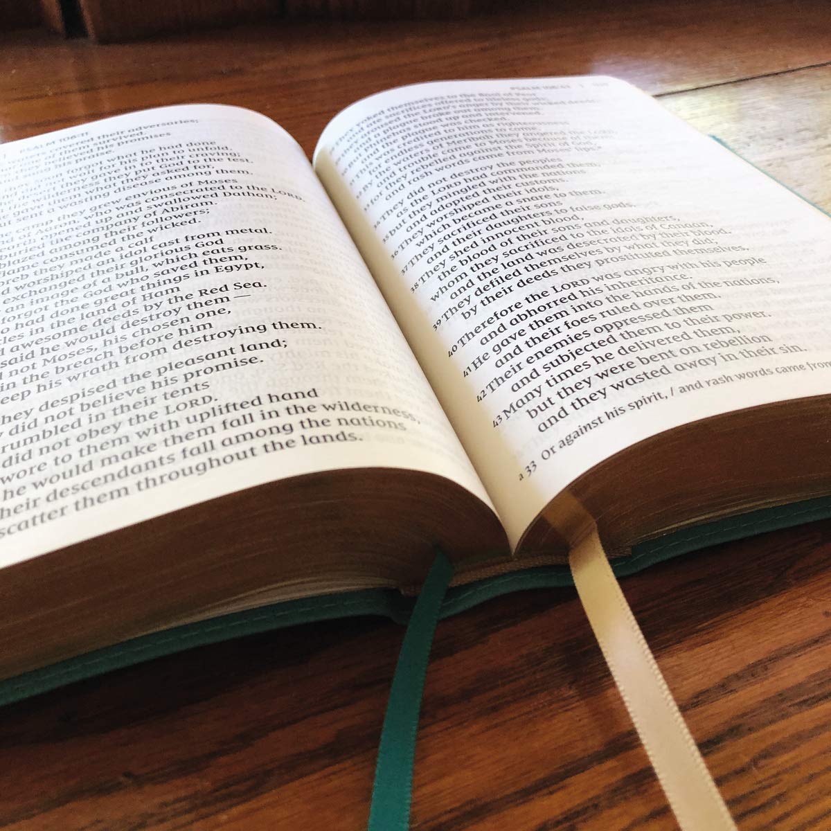 NIV, Giant Print Compact Bible, Leathersoft, Teal, Red Letter, Comfort Print