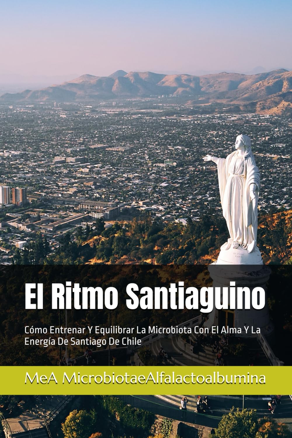 El Ritmo Santiaguino: Cómo Entrenar Y Equilibrar La Microbiota Con El Alma Y La Energía De Santiago De Chile