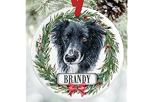 Personalized Border Collie Christmas Ornament 2023