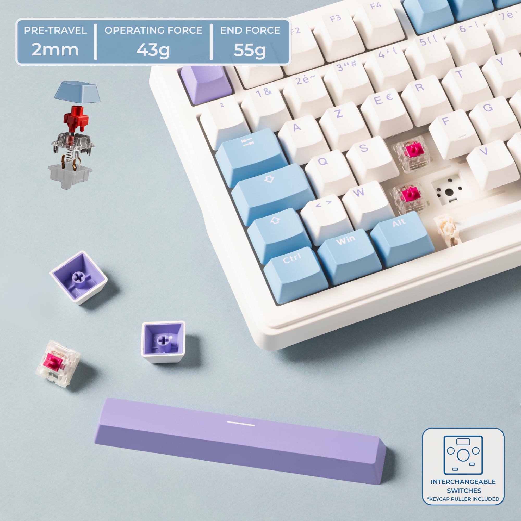 The G-Lab Keyz Elite 400 WB - Clavier Gamer sans Fil Mécanique Hot-Swap RGB | QWERTY US, Sans Fil Tri Mode 2.4GHz/Bluetooth/Filaire, Switch Mécanique Hot Swap Pré-lubrifiés, Gasket 5 Couches