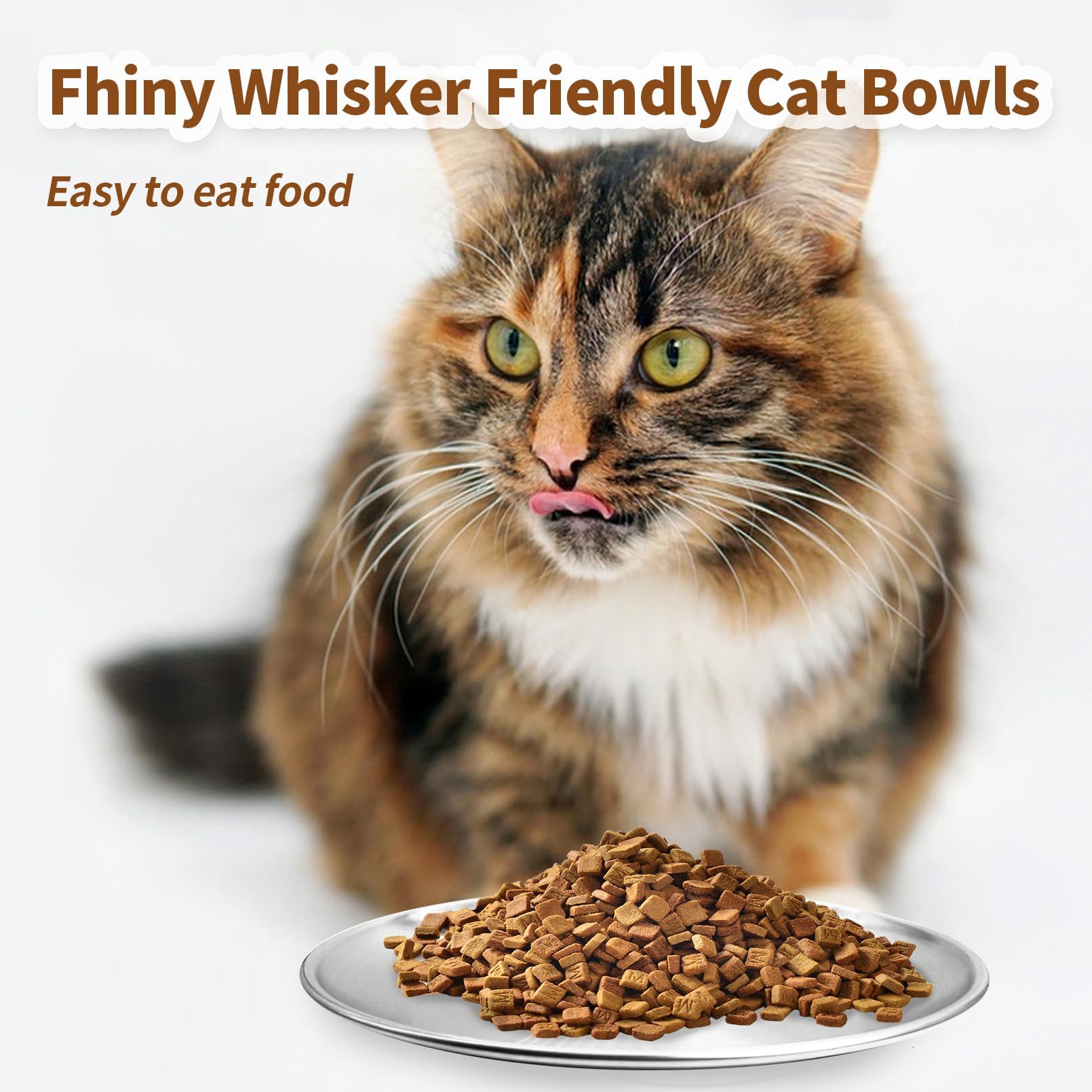 Fhiny 12 PCS Stainless Steel Cat Dish Set, 5.5
