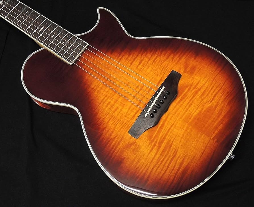 【修理品】ARIA MBA? エレアコ Amazon | ARIA APE-100 TS 薄胴 エレアコ エレクトリック