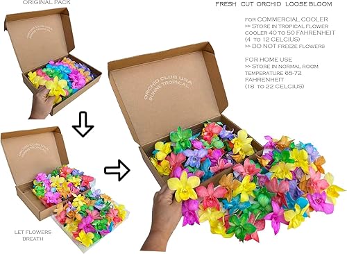 Miniatura 23 de Miami Fresh Orchid Flower OrchidClub USA Sunne Tropical Loose Bloom DIY Lei, decoración de alimentos y bebidas (100 azul amarillo)