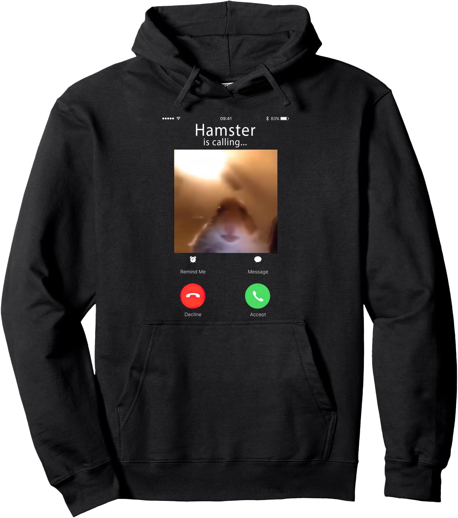 dank meme hamster staring front camera hamster calling Pullover Hoodie