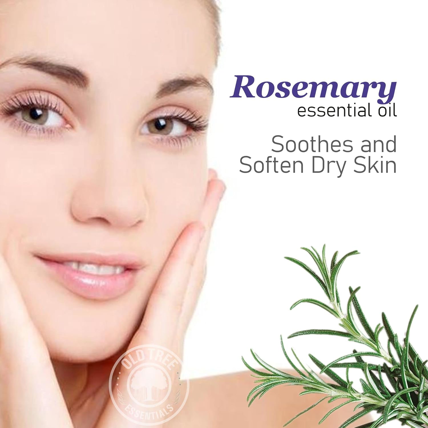 Old Tree Rosemary Essential Oil for Hair Growth for Women & Men (15ml) - Pure and Natural Oil with Dropper for Skin, Body, Diffuser, Aroma Therapy & Relaxation Old Tree Rosemary Essential Oil for Hair Growth for Women & Men (15ml) - Pure and Natural Oil with Dropper for Skin, Body, Diffuser, Aroma Therapy & Relaxation