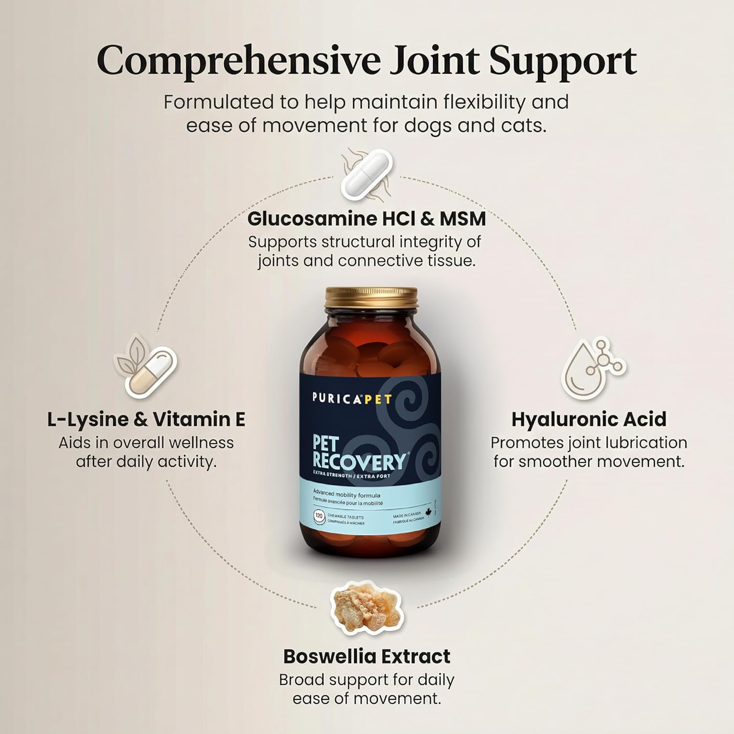 Purica Recovery Extra Strength Dog Supplement - Supports Hip and Joint Health for All Breeds - Contains Nutricol, Hyaluronic Acid, EGCG, Resveratrol - Aims to Enhance Canine Endurance and Flexibility