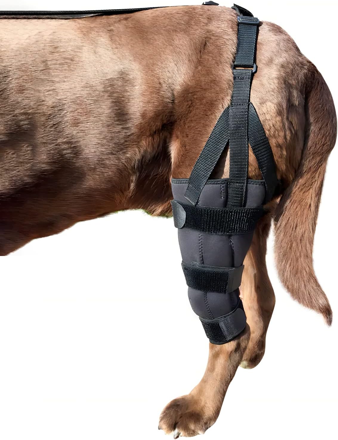 Labra Dog Canine K9 Knee Stifle Brace Wrap Metal Splint Hinged Flexible
