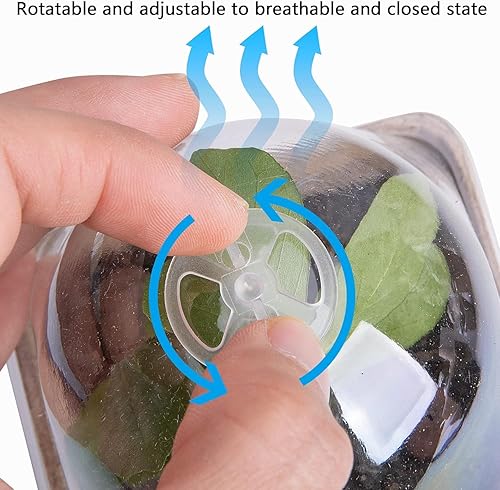 Miniatura 4 de PURPLE STAR 1N 40 macetas de inicio de siembra para plantar, macetas cuadradas biodegradables de 3.1 pulgadas con cúpula de humedad, macetas de