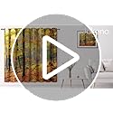 Jekeno Fall Tree Forest Blackout Curtains Jungle Autumn Tree Yellow Leaves Nature Scenery Decor Fall Decoration Home Bedroom Living Room Grommet Window Drapes 2 Panel Set, 52"x84"