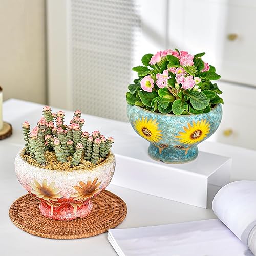 Miniatura 3 de Sungmor Juego de 2 macetas pequeñas para suculentas, hermosas macetas de cerámica hechas a mano, bonitas macetas de cactus, macetas de 6.5 pulgadas