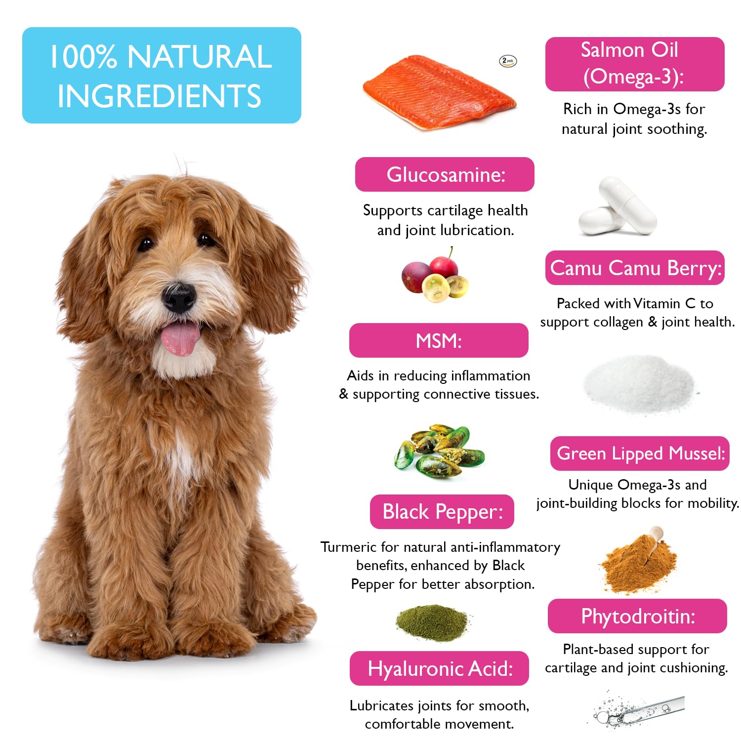 Fuzzl Joint Care Supplement Chews Max Strength, Hip and Joint Aid with Glucosamine for All Dogs including Senior Dogs - Image 4
