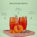 Golden Tips Premium Green Tea with Ripe Peach Flavor, Refreshing Antioxidant-Rich Loose Leaf Tea Tin Can, Aromatic & Fruity with Mild Color, Soothing Aftertaste (100 Gram, 50 cups) gallery image