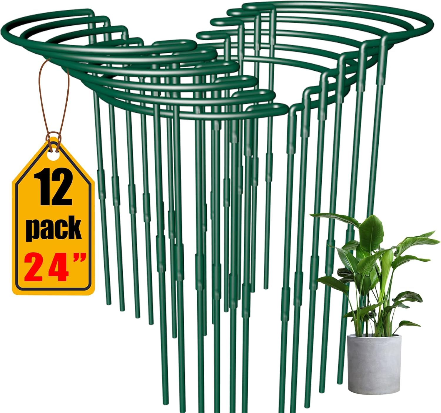 Plant Support Stakes 12 Pack 10" W x 24" H, Half Round Garden Stake, Metal Ring Border, Green Peony Cages and Supports for Tomato Hydrangea Flower Outdoor