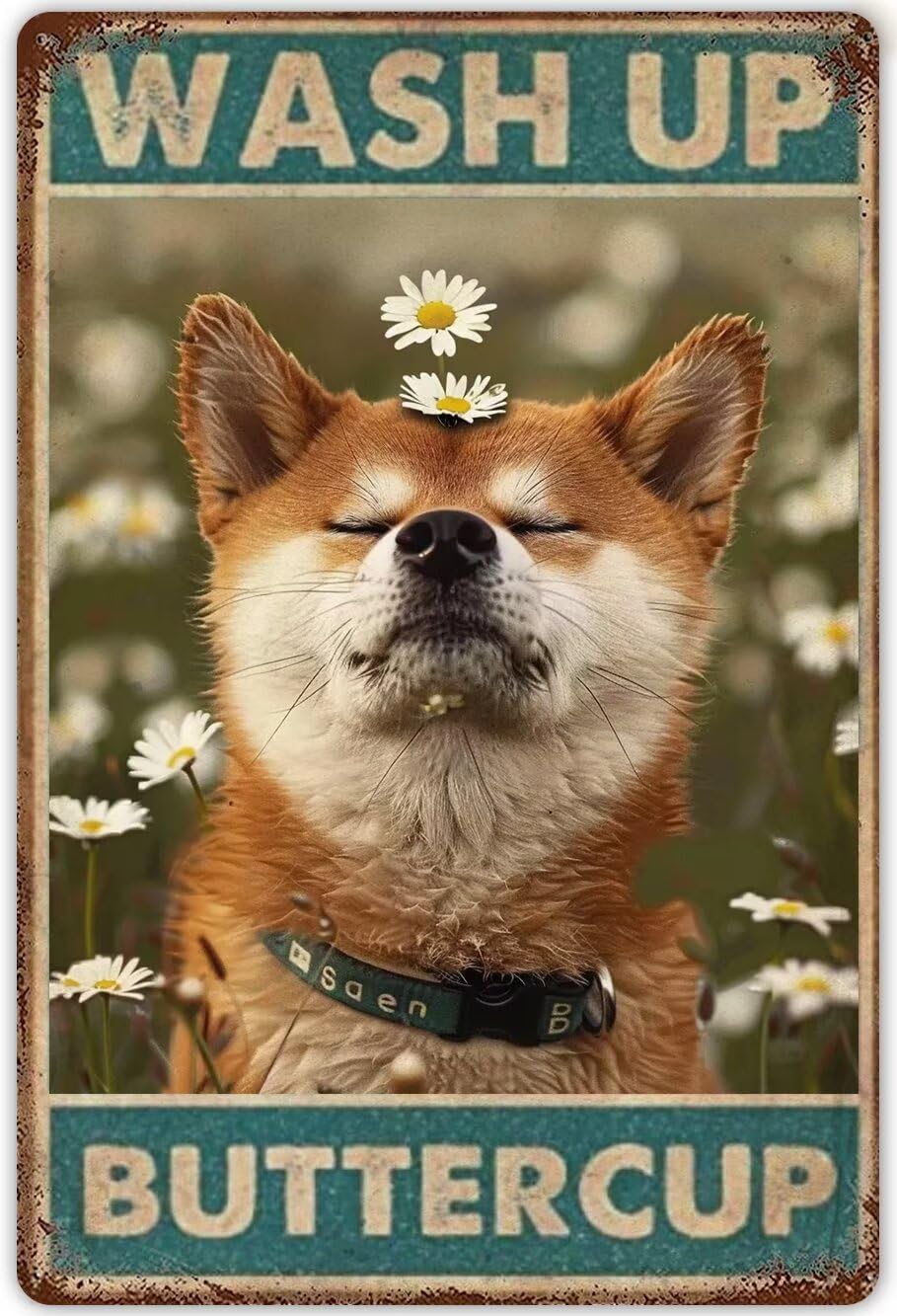 Anceky Shiba Inu Bathroom Wall Art Metal Poster Wash Up Buttercup Retro Metal Tin Signs Vintage Plaque Wall Decor For Home Kitchen Office Club Bar Gym Vintage Bathroom Decor 8x12 Inch