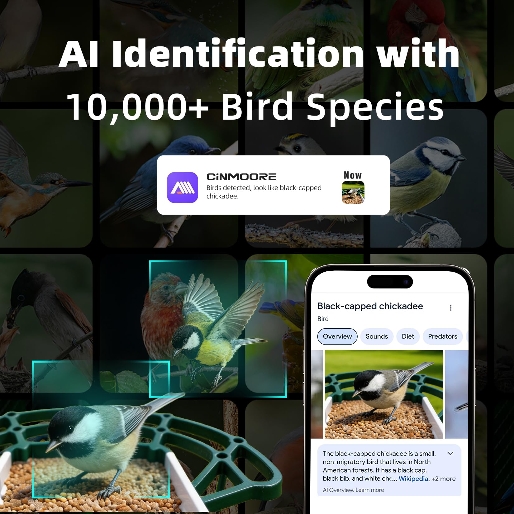 Vogelfutterstation mit Kamera, solarbetrieben, 4 MP 2,5 K Smart Outdoor Vogelhaus Cam, kostenlose KI-Vogelarten-Identifikation, Live-Ansicht & Wiedergabe, sofortige Benachrichtigungen