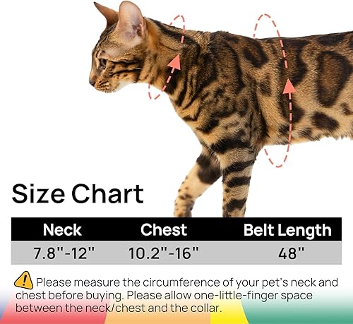 Miniatura 6 de PetThem Juego de arnés y correa para gatos, arnés ajustable a prueba de escape, cómodo, suave, ligero, de uso seguro y fácil, arnés de viaje para
