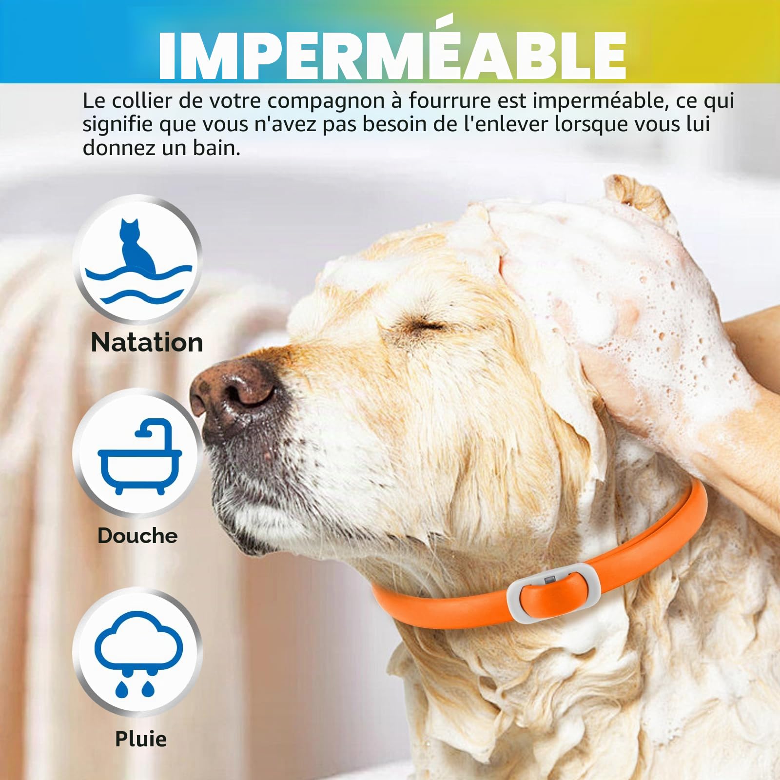 Collier Anti Puces pour Chien, 4 Pièces Anti Tiques pour Chien, Réglable et Imperméable, Sûr et Naturel, Longueur 60cm, Protection 24 Mois, pour Chiens de Petite Moyenne et Grande Taille (Bleu&Orange)
