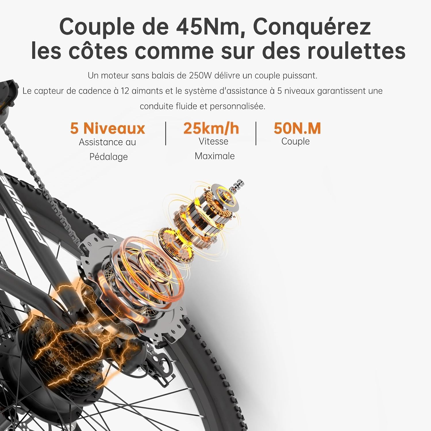 Xtremer 2/Xtremer 3 Vélo Électrique, 27.5"/29" VTT Électrique Homme Femme, Moteur 250W, Autonomie 120KM, Frein à Disque Hydraulique, Vélo Électrique en Montagne pour Adulte