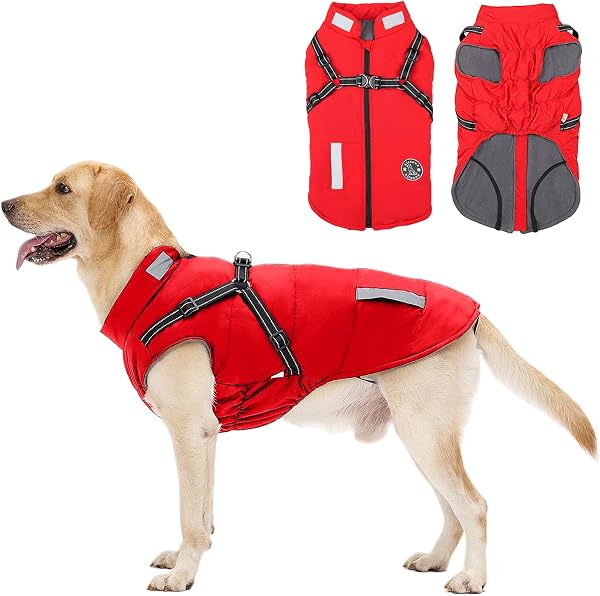 Manteau Chien Aisuowa en Polaire Imperméable