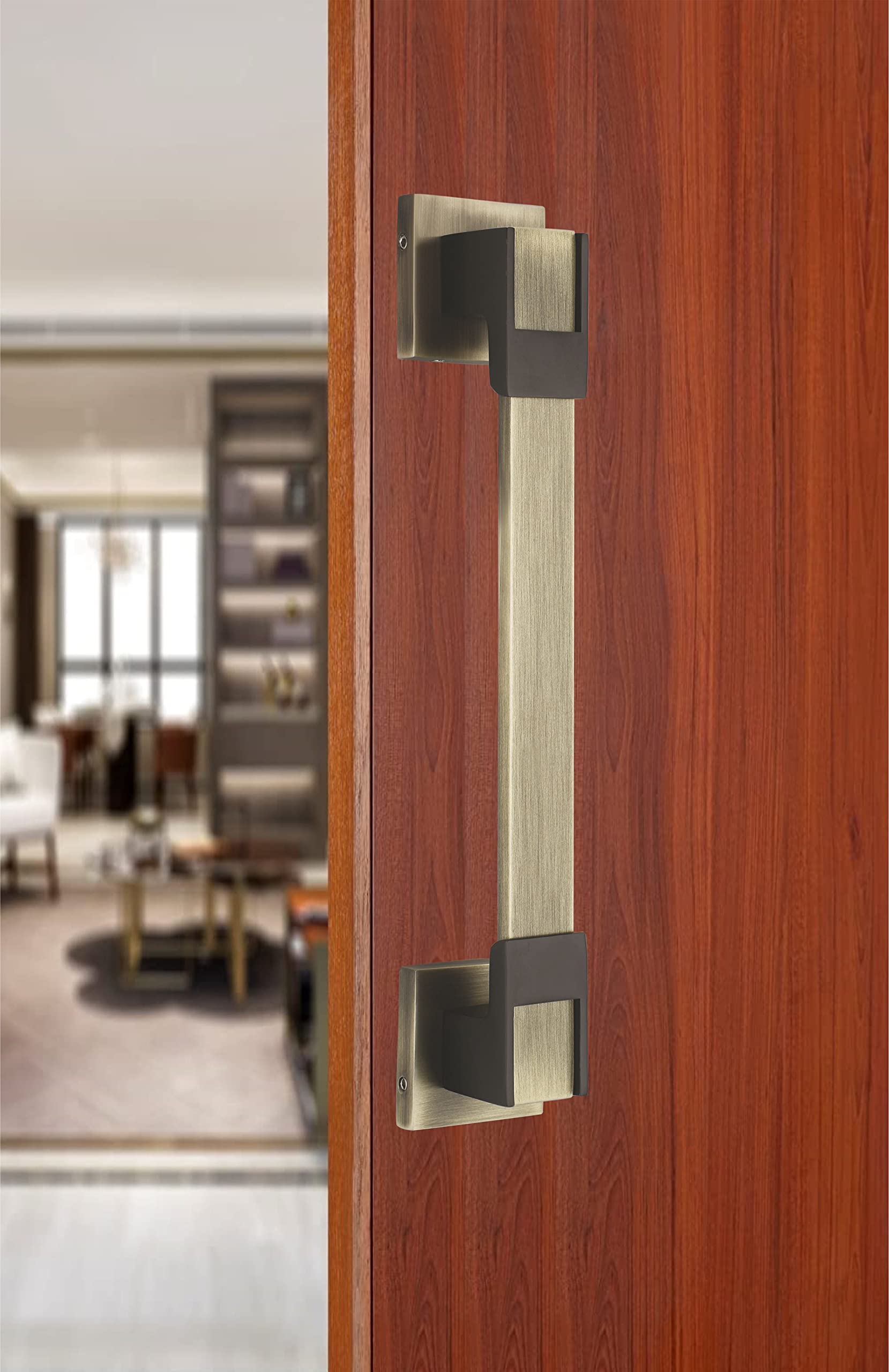 Chitra Zinc Alaska Door Pull Handles On Rose for Main Door/Main Door Handle/Door Handle (12 inches, Pack of 1,Antique Brass Matt) (B09XB7L6ND) Amazon Price History, Amazon Price Tracker