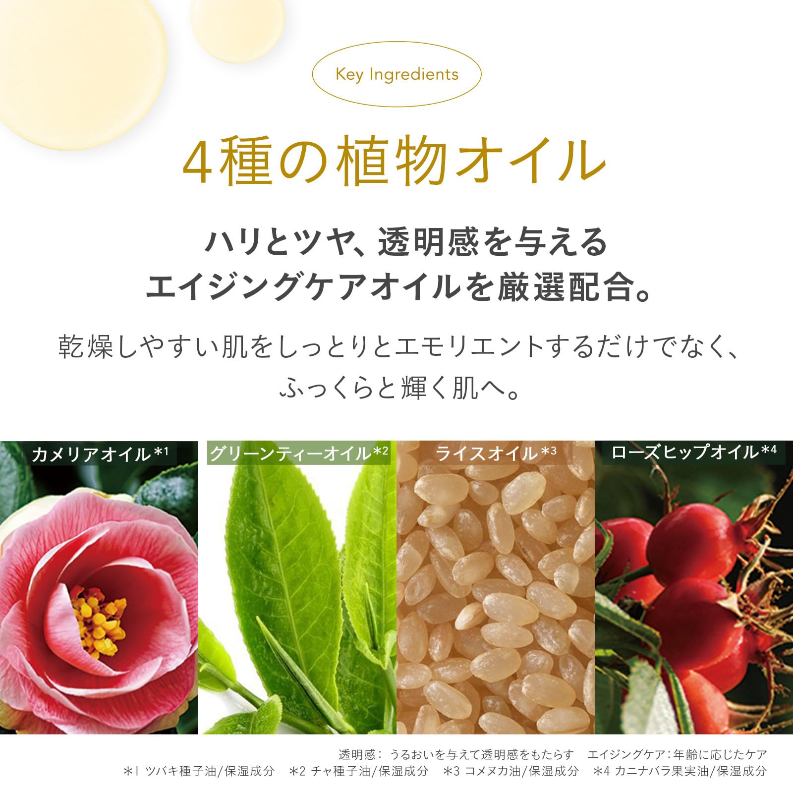 Amazon.co.jp: FEMMUE (ファミュ) デュアルエッセンス（カメリア