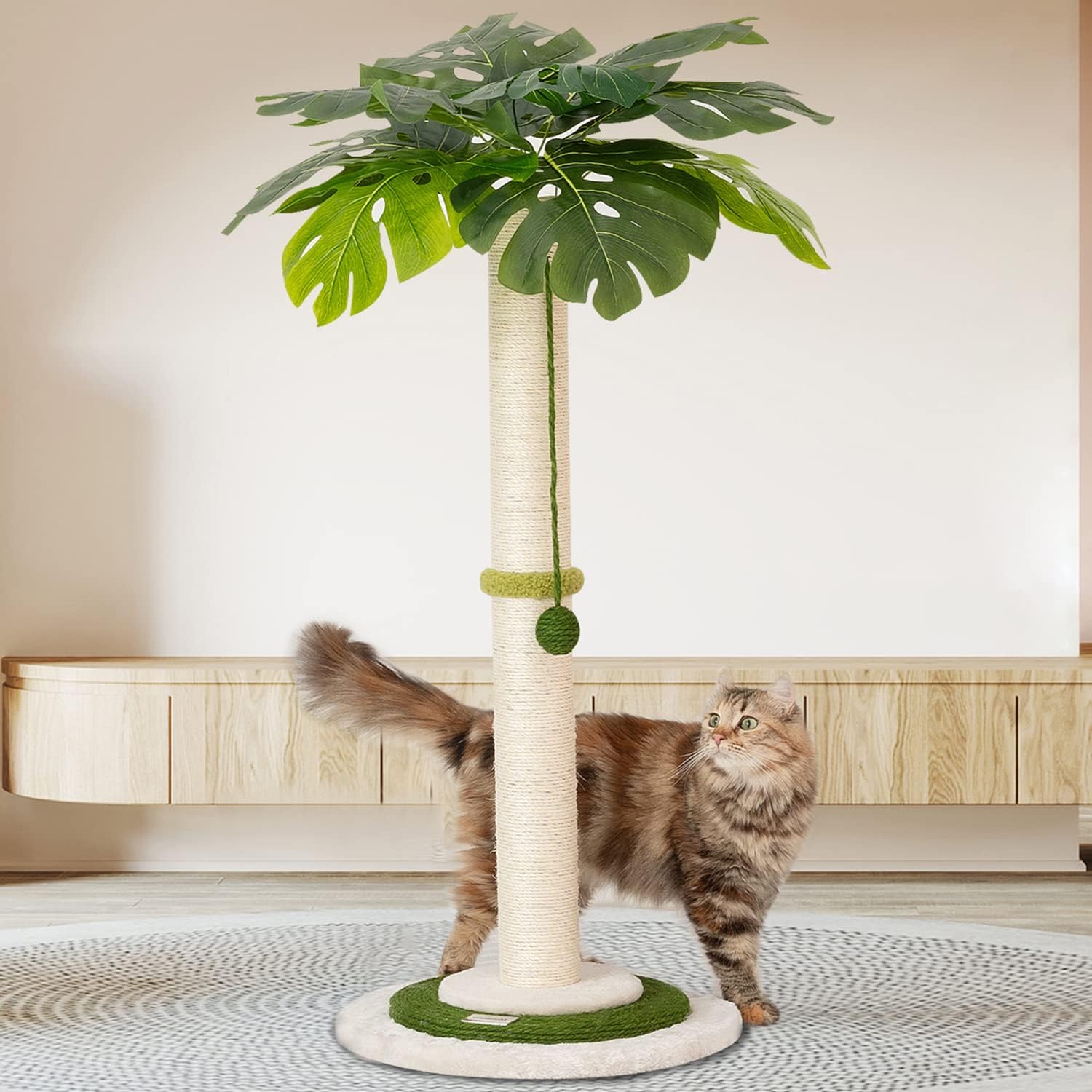 Cat Scratching Post With Hanging Ball 35 Inches Tall for Indoor Cats