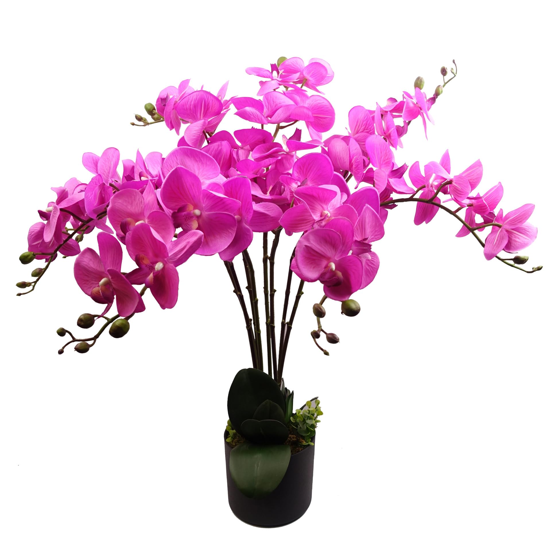 Leaf Design UK Realistic Artificial Orchid Flower Display in Pot