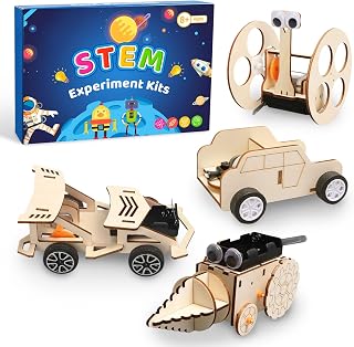 4 Stück Experimente für Kinder, Elektronik Baukasten DIY STEM Spielzeug, Holz Wissenschaft Bausatz Set 3D Puzzle Gebäude Experimentierkasten Geschenk für Jungen Mädchen Jugendliche