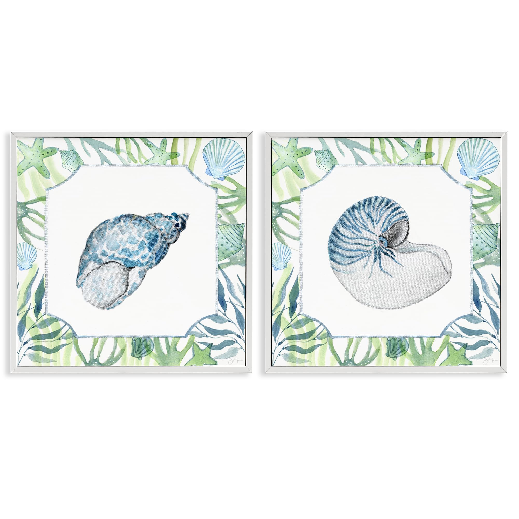 Stupell Industries Watercolor Seashell With Seaweed Border 'Seaweed Bordered Seashells'| 2Pc Framed Giclee Art Set 2