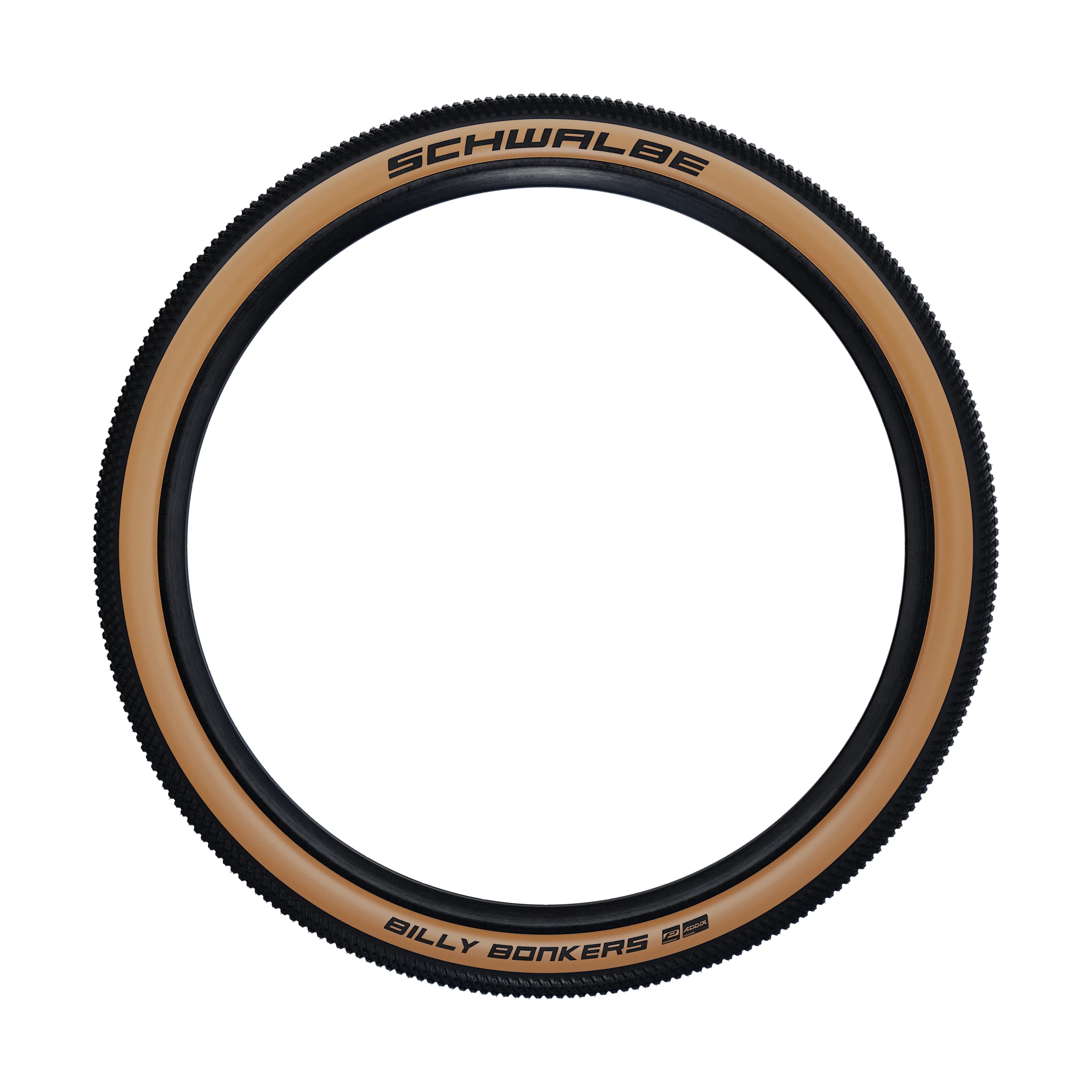 【SCHWALBE】BILLY BONKERS 24×2.00\