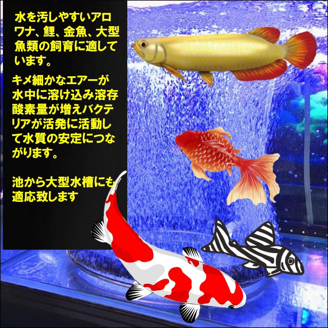 Amazon.co.jp: ST TS エアーリング 水槽 魚 池 アクアリウム 錦鯉 金魚 
