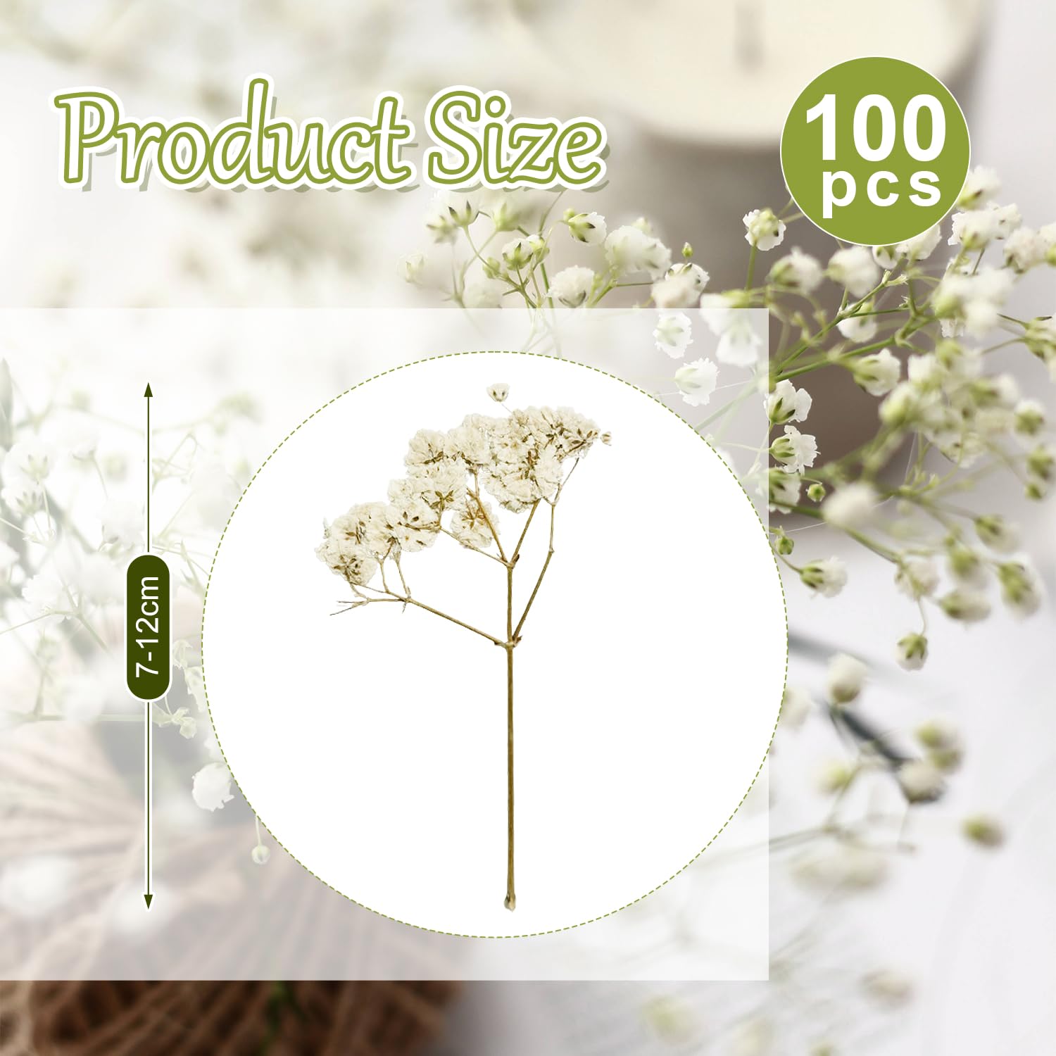 100 Fiori Secchi Gypsophila Bianchi - Per Decorazioni, Resina, Candele, DIY, Altezza 7-12cm - Foto 12