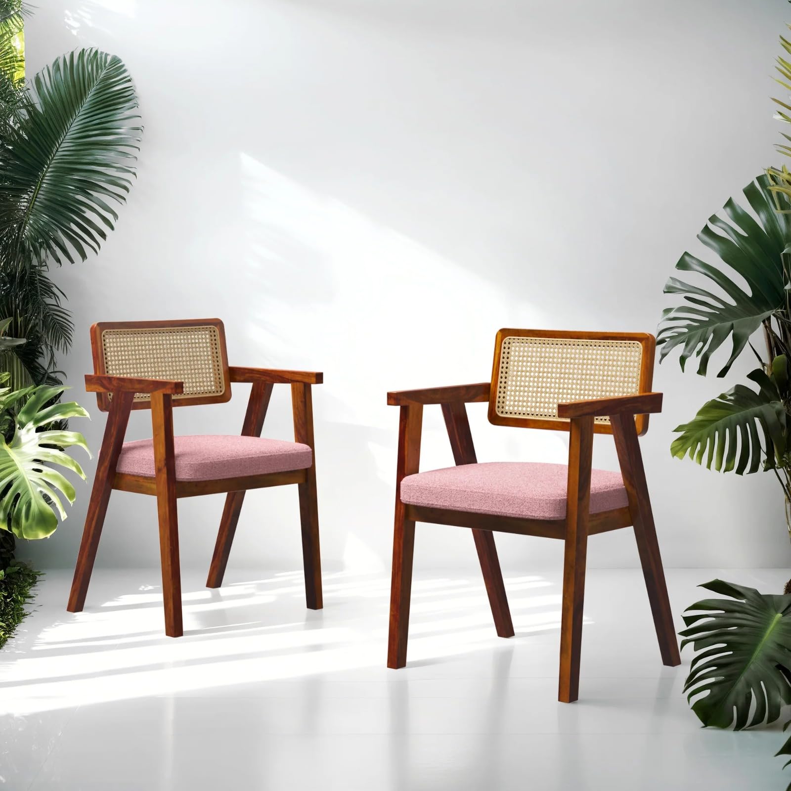 Mid-Century Dining Chairs with Cane Back, Valvet Cushion, Wooden Frame, Set of 2 (Honey)-image-23