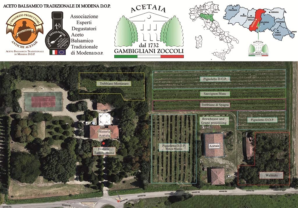 GAMBIGLIANI ZOCCOLI – ACETO BALSAMICO TRADIZIONALE DI MODENA CERTIFICATO D.O.P. OLTRE 25 ANNI D'INVECCHIAMENTO. Confezionato nel cofanetto ufficiale del consorzio produttori Antiche Acetaie