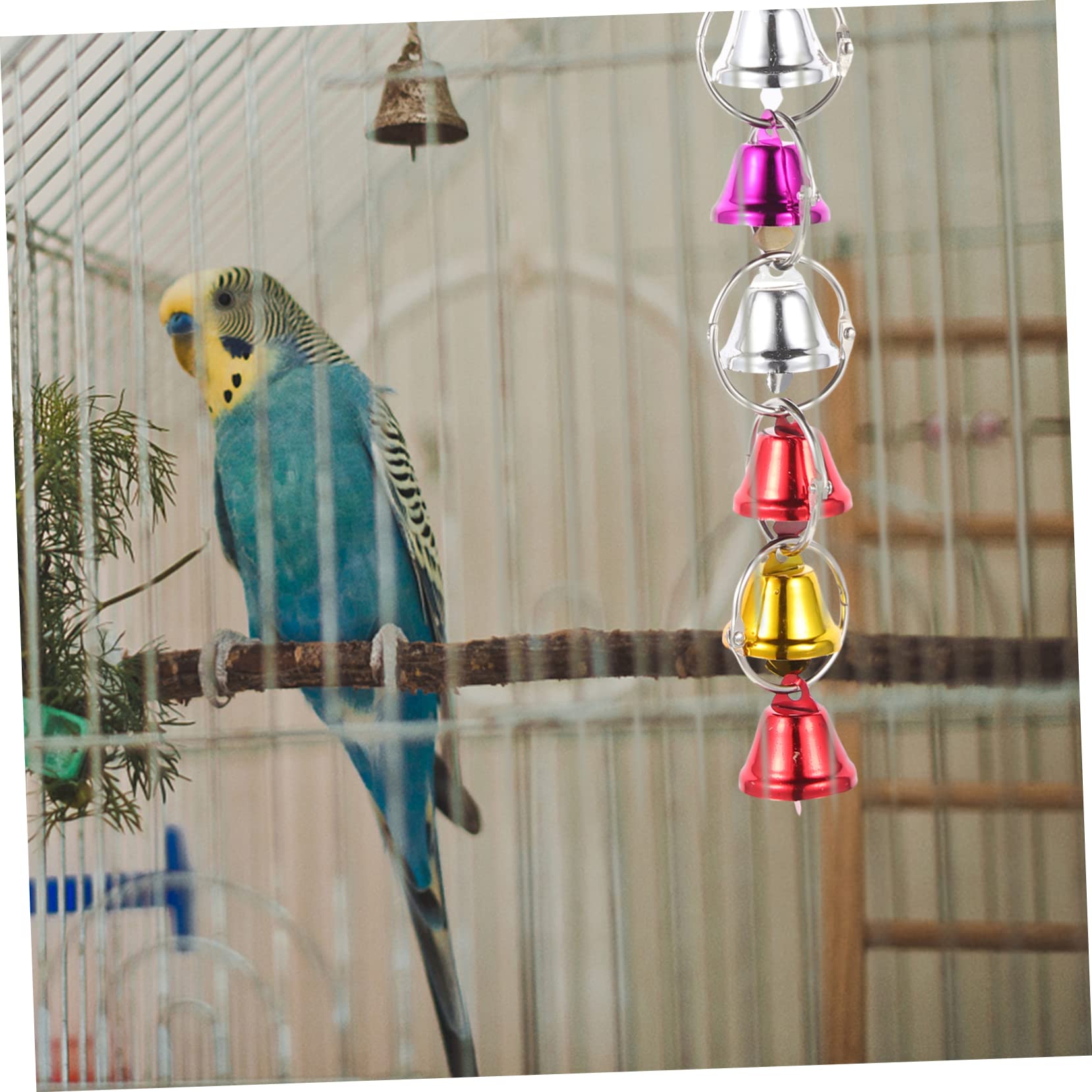 Vogel-Spielball Mit Glocke – Hohles Rattan-Design Für Papageien, Sittiche & Andere Vögel