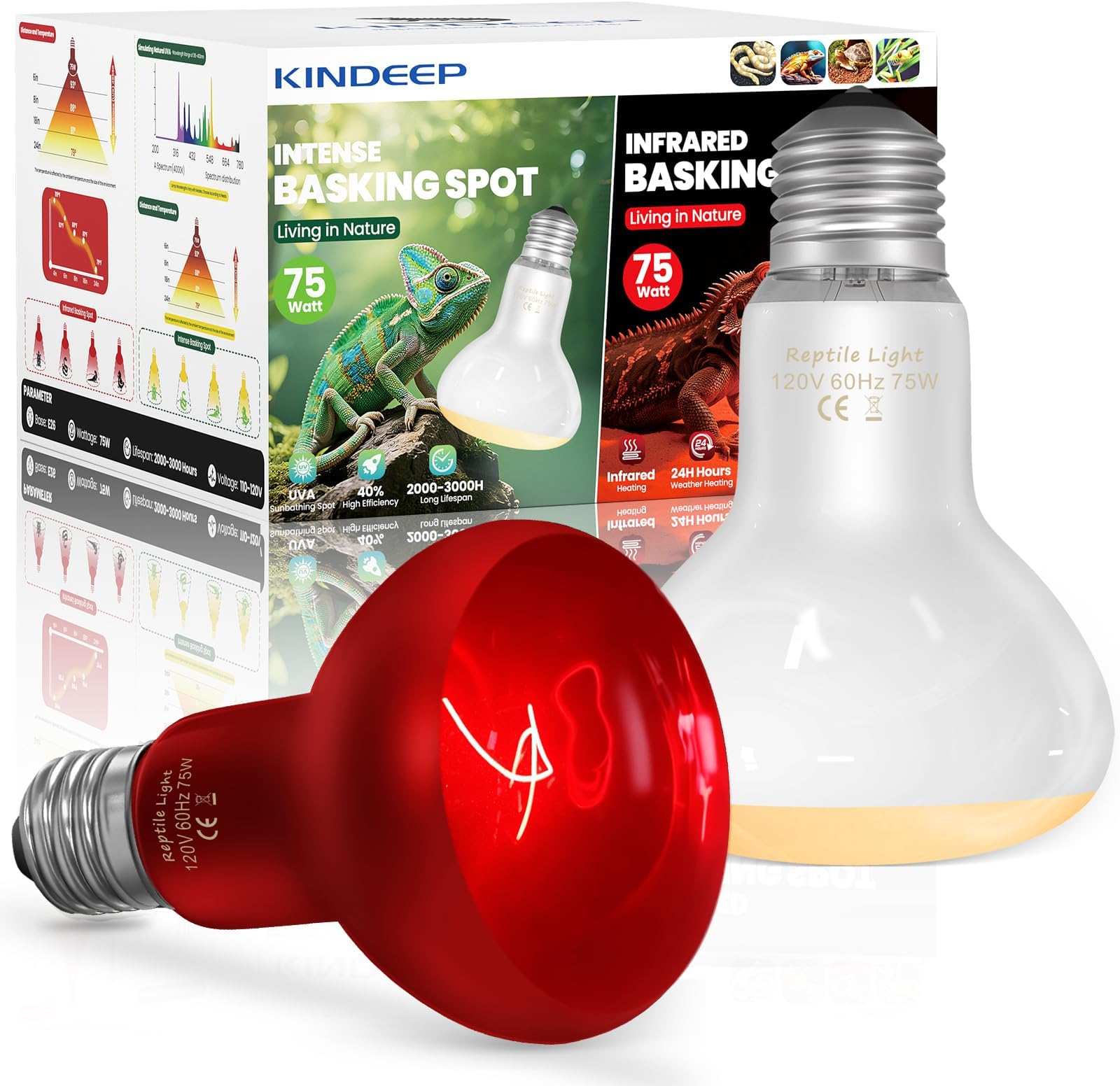 75W Reptile Heat Lamp Bulbs: Reptile Day & Night Basking Spot Bulb Combo Amphibian Infrared Heat Lamp Bulb - UVA Basking Spot Daylight Heating Light Bulb for Lizard Tortoise Snake