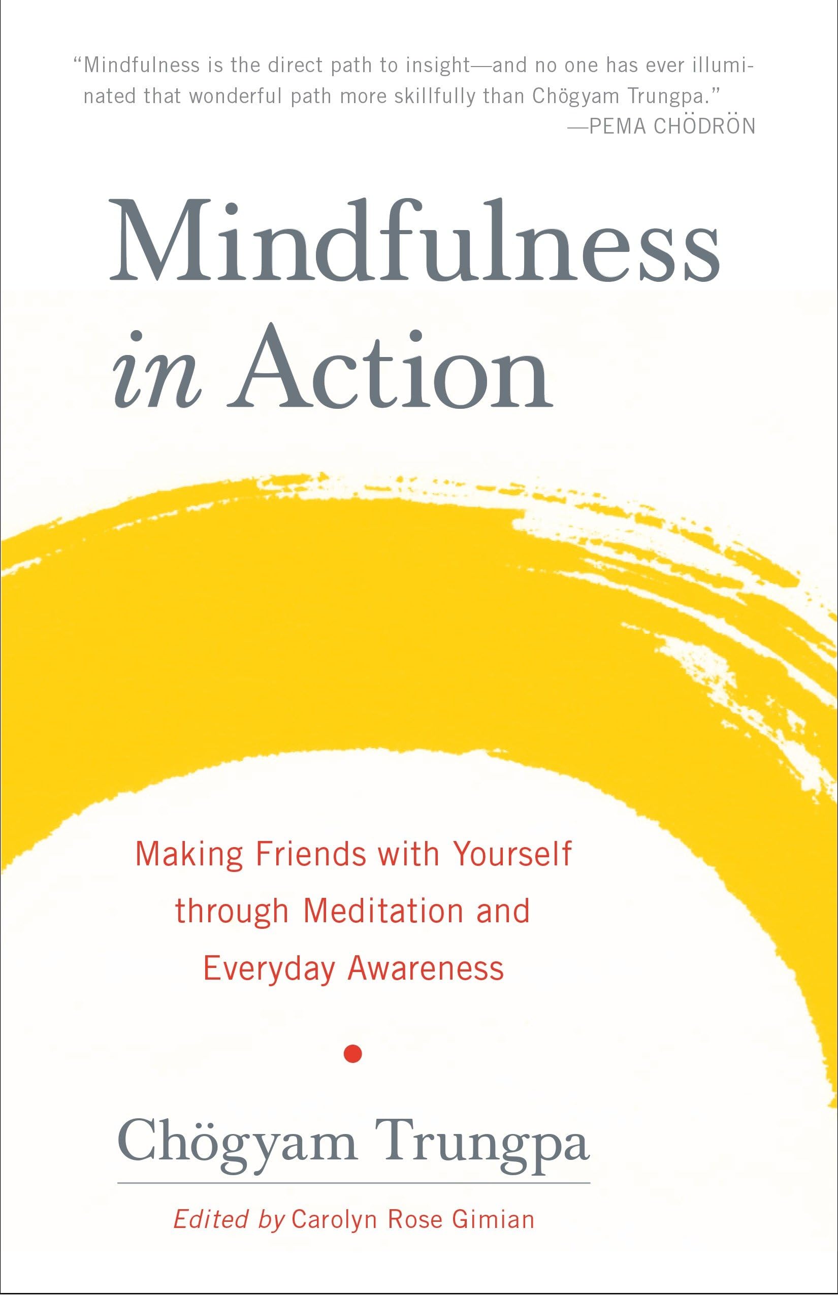Mindfulness in Action: Making Friends with Yourself Through Meditation and Everyday Awareness