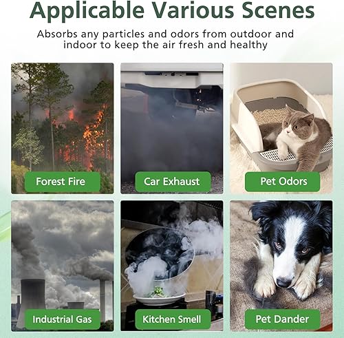 Miniatura 5 de Vital 100S Pet Care - Filtro de repuesto para purificador de aire LEVOIT Vital 100S-P, HEPA y filtro de carbón activado de alta eficiencia para