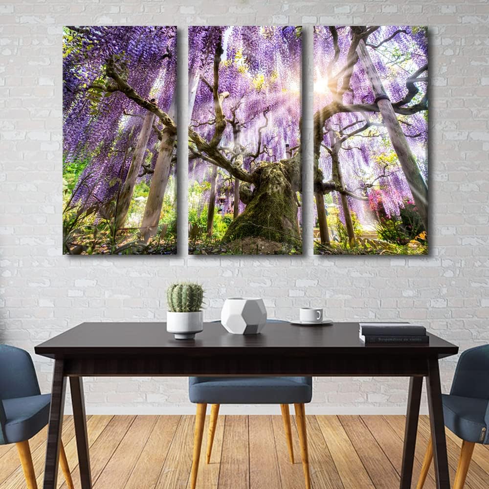 Amazon.com: TUMOVO 3 Pieces Japanese Wisteria Canvas Wall Art Natural ...