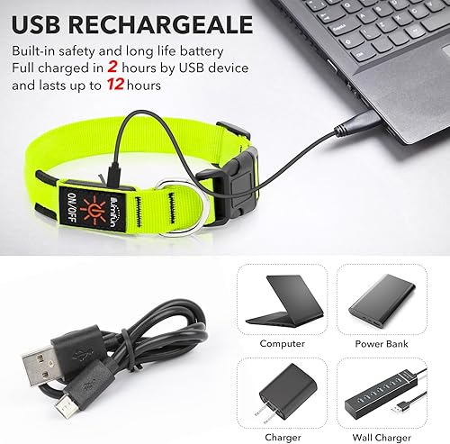 Miniatura 4 de Illumifun Collar LED para perro, collar de perro con luz, recargable que brilla en la oscuridad, collar de seguridad para perro, con luces para