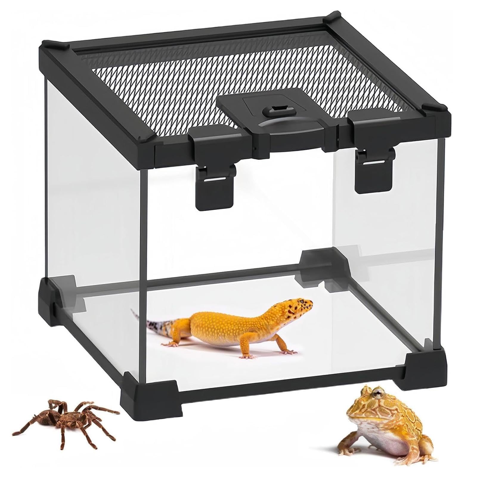 Generic Mini Terrario de Cristal para Reptiles, Terrario para Mascotas Trepadoras, Caja de Alimentación, Terrario de Cría para Serpientes, Geckos Y Arañas.