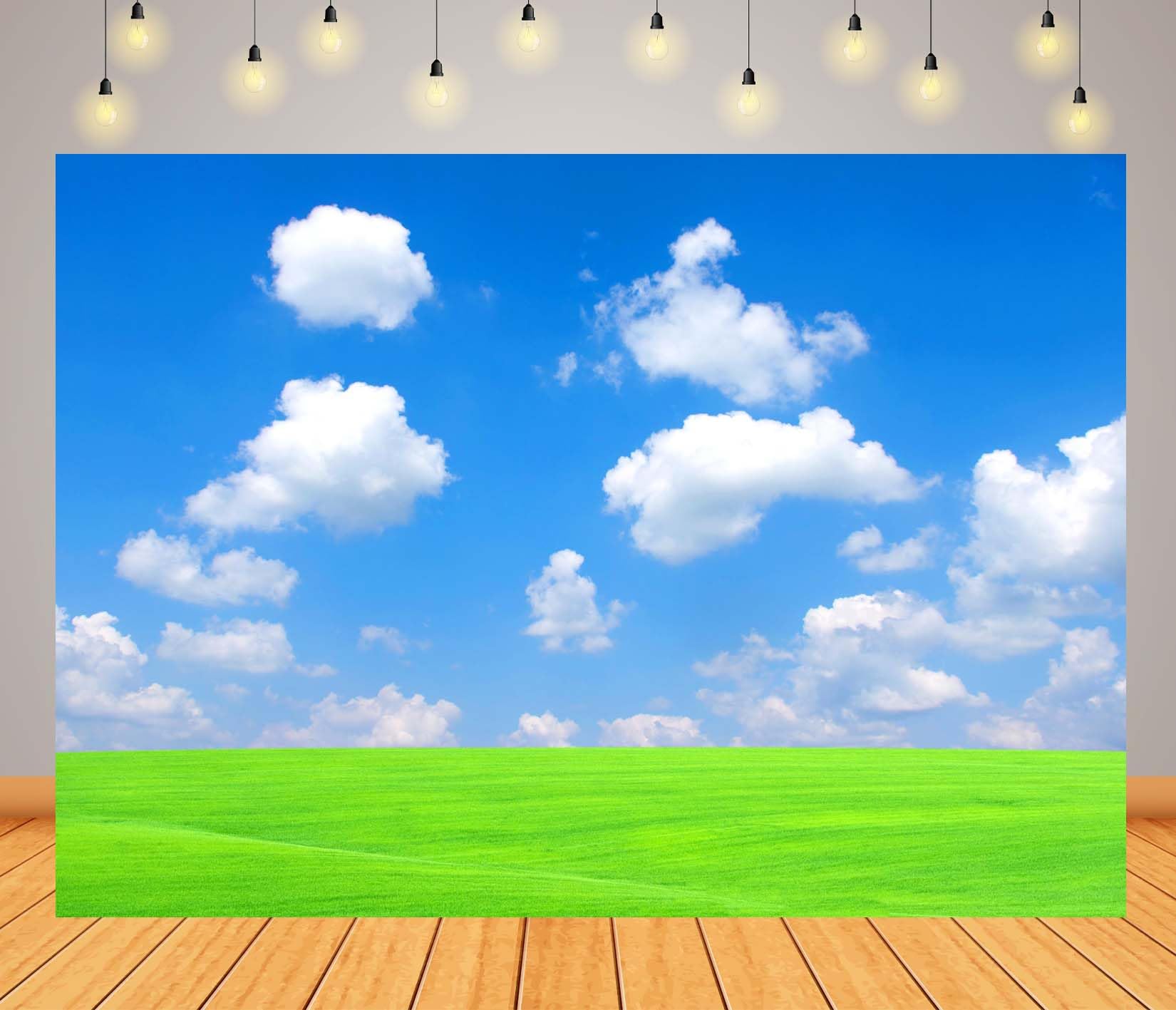 BELECO 6x3m Fabric Cielo Blu E Prato Verde Sfondo Fotografico | Scenario Naturale Luminoso Con Prato Verde Cielo Estivo Blu E Nuvole Bianche Per Feste Eventi E Ritratti