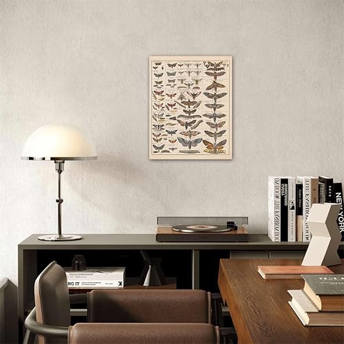 Miniatura 7 de Meishe Art Póster Impreso Vintage Polilla Insectos Razas Identificación Tabla de Referencia Colección de Especies Diagrama de Entomología Aula Club