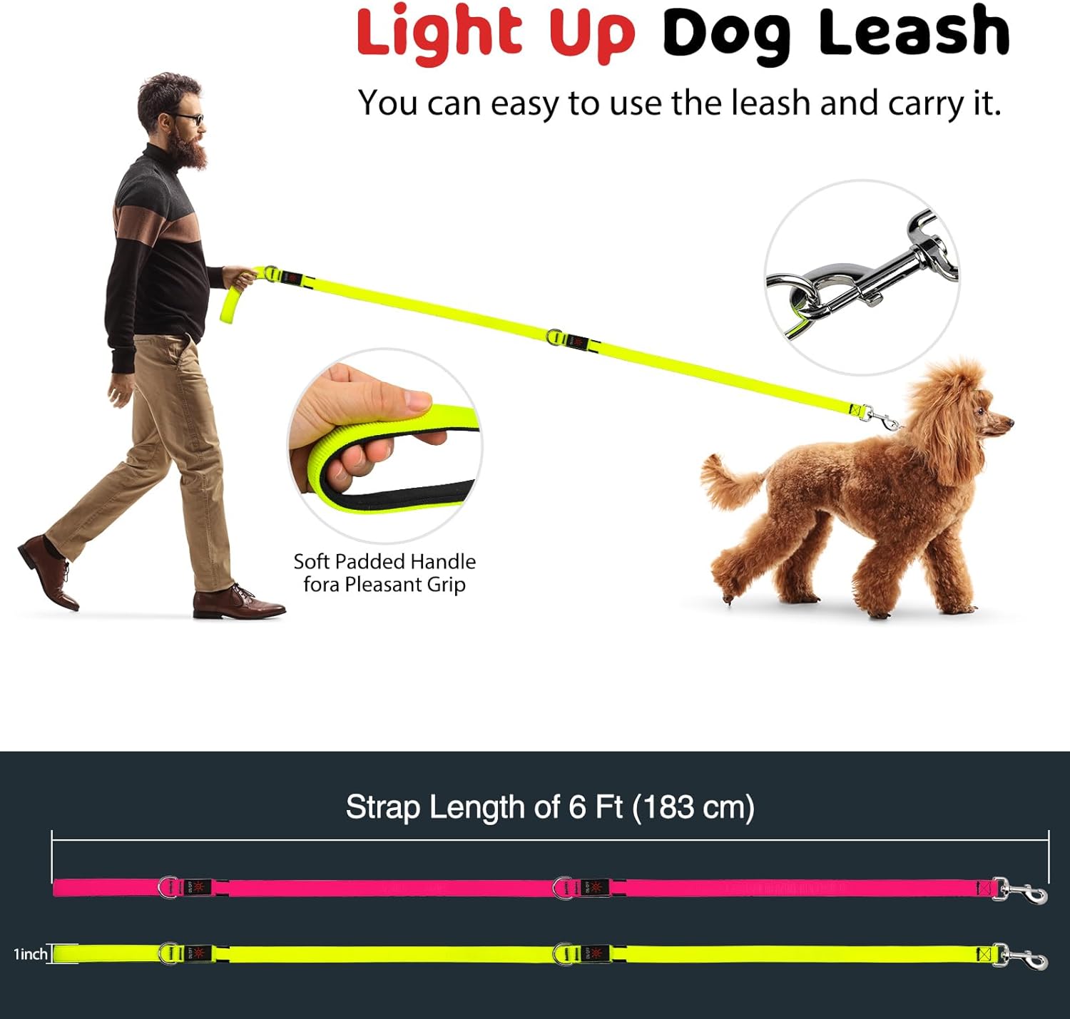 LED Dog Leash 6 Feet Micro USB Rechargeable Nylon Webbing Glow Safety Standard Dog Leash (Green)