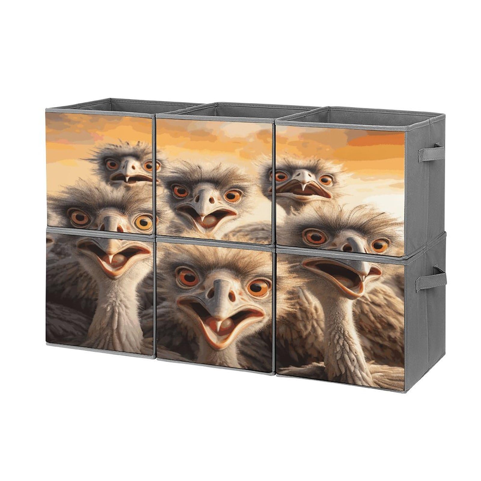 Btcowzrv Style A Flock Of Ostriches Storage Cubes, 6 Pack Oxford Fabric Foldable Collapsible Bins With Handles, Cubby Storage Baskets Boxes For Closet Shelves Office Organization