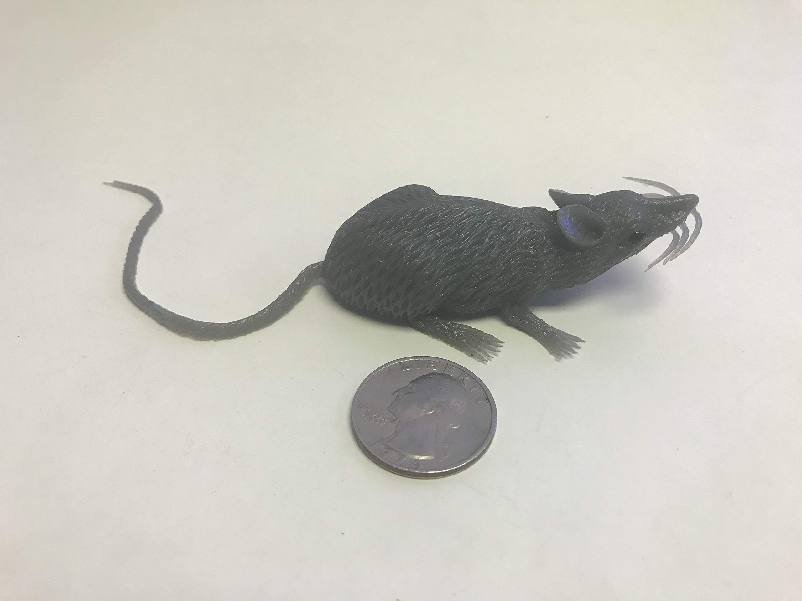 Amazon.co.jp: abunchoffun 不気味なグレーのラバーマウス いたずら