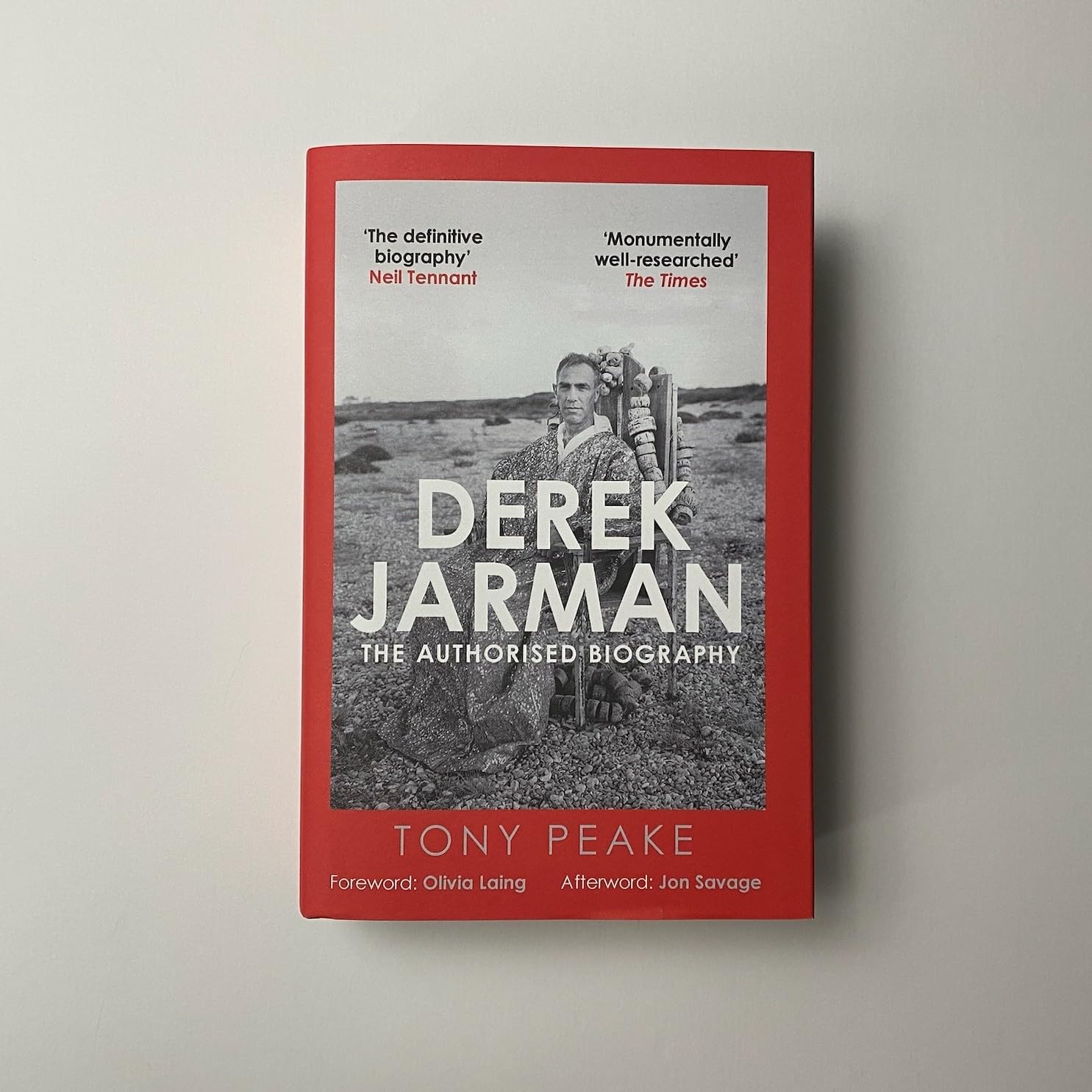 Derek Jarman: the authorised biography