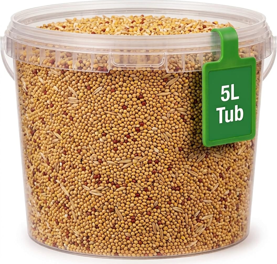 Budgie Seed Mix 5L Tub - Indoor Bird Food for Small Birds Only in Handy Bird Seed Storage Tub