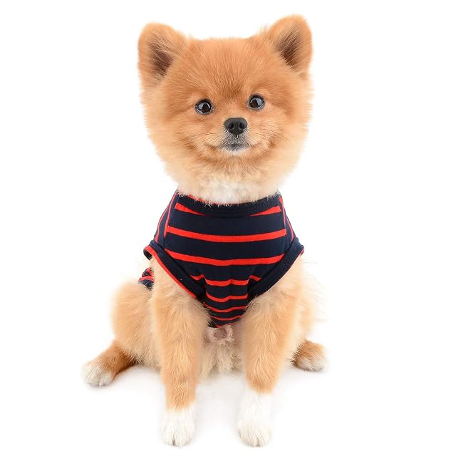Foto 4 de 7 de PAIDEFUL Ropa para perros pequeños, gatos, niños y niñas, camiseta de verano clásica a rayas para cachorros