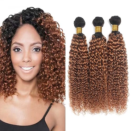 Brown Kinky Curly Human Hair Bundles 1B30 Ombre Bundles Brown